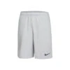 Nike Dri-Fit Shorts Men